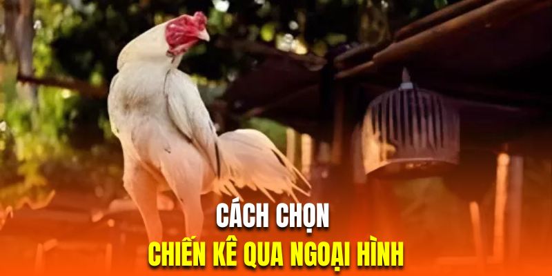 Phương pháp chọn giống kê chọi dựa vào đặc điểm