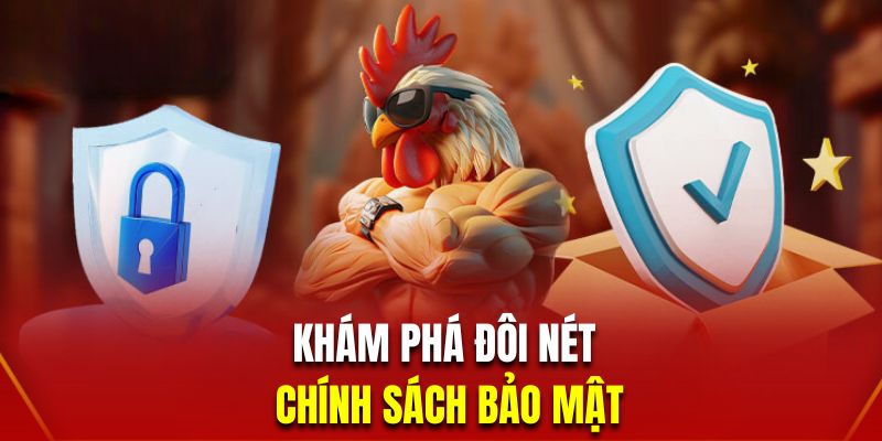 Khám phá điều khoản bảo mật 