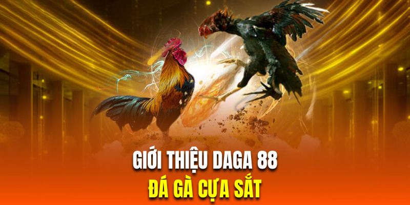 Giới thiệu Daga 88 - Hình thức chọi kê cựa sắt