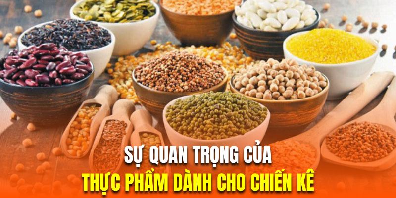 Thực Phẩm Dành Cho Chiến Kê Quan Trọng Không Thể Thiếu 2024